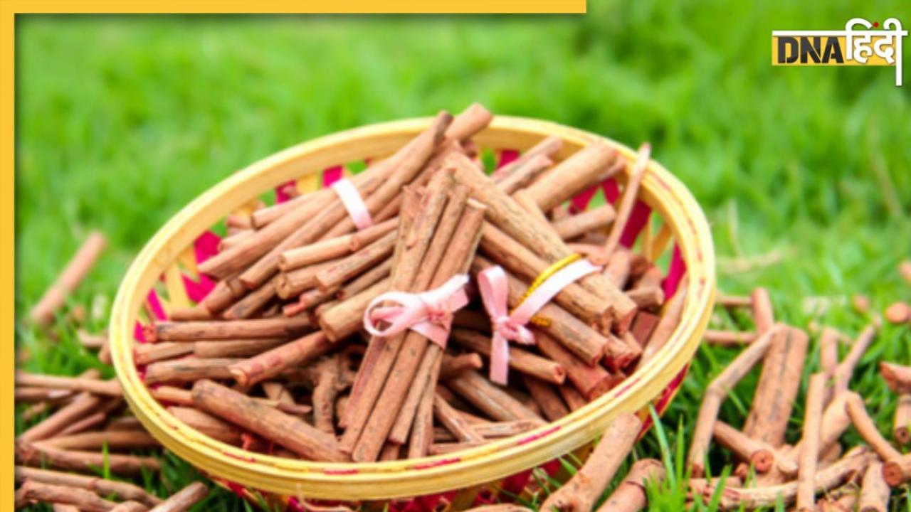 Best Ayurvedic Herbs: ये 5 आयुर्वेदिक जड़ी-बूटियां शरीर के लिए हैं ताबीज जैसी, सिर से पैर तक की कई बीमारियां होती हैं दूर