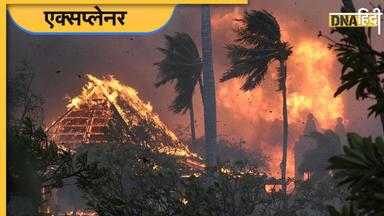 Maui Fire: अमेरिका के जंगल में लगी आग से 53 की मौत, जान बचाने के लिए समुद्र में कूदे लोग, हर ओर तबाही का मंजर