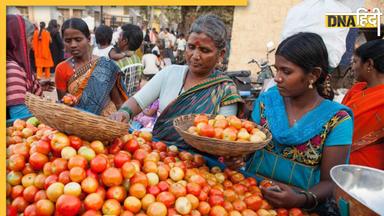 New Tomato Price: महंगे टमाटरों से आजादी, कल से इस दाम पर बिकेगी ये सब्जी