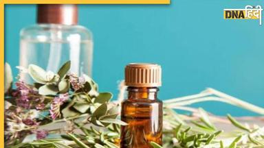 Rosemary Oil For Hair: बेजान और झड़ते बालों का रामबाण इलाज है इस जड़ी-बूटी का तेल, तेजी से होगा हेयर ग्रोथ  