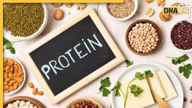 Plant Based Protein Foods: ये 5 प्लांट बेस्ड फूड प्रोटीन का हैं खजाना, आज से खाना कर दें शुरू