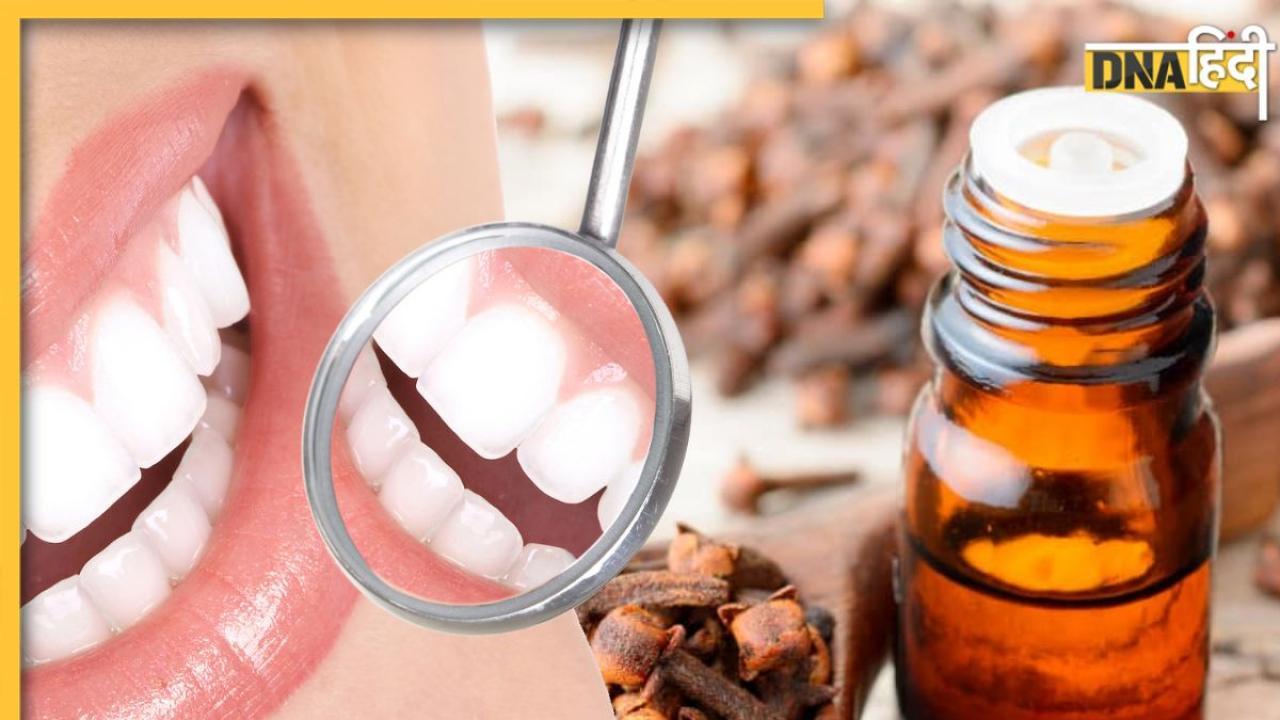 Teeth Pain Relief Remedy: दांत और मसूड़ों के दर्द से तुरंत राहत के लिए इस तेल से करें मालिश, मिलेगा आराम