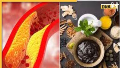 Ayurvedic Remedy For Cholesterol: नसों में फंसे गंदे कोलेस्ट्रॉल को बाहर कर देंगी ये आयुर्वेदिक औषधियां