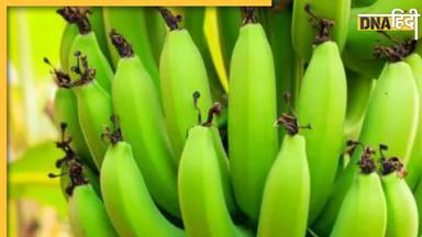 Raw Banana Benefits: डायबिटीज से लेकर दिल की बीमारियों को दूर करता है हरा केला, जानें इसे खाने के 5 हेल्थ बेनिफिट्स