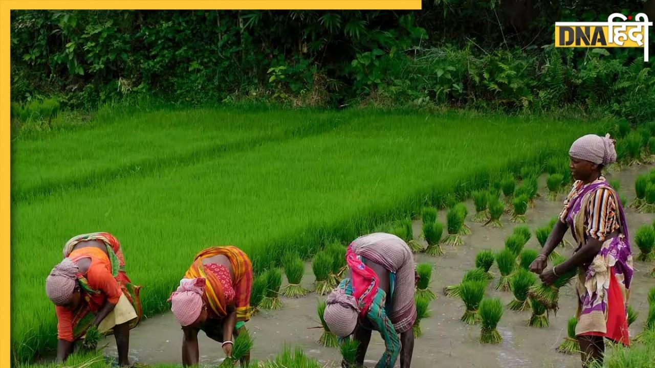 PM Kisan Yojana के किसानों के लिए बड़ी खुशखबरी, किस्त में हो सकती है बढ़ोतरी