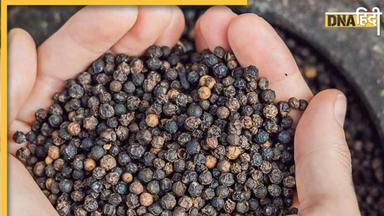 Black Pepper Benefits: दिमाग की कार्यक्षमता बढ़ा देगा ये काला गरम मसाला, शुगर-कोलेस्ट्रॉल भी होगा कम