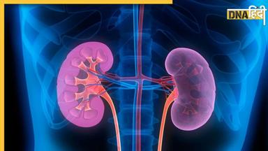 Kidney Health: किडनी को डैमेज करते हैं ये 8 फूड्स, बना लें इनसे दूरी वरना खराब हो जाएगा बॉडी ब्लड फिल्टर