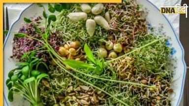 Sprouts For Cholesterol: सुबह उठते ही खा लें ये 5 फूड्स, नसों में जमी गंदगी हो जाएगी बाहर, दिल और नसें भी रहेंगी हेल्दी