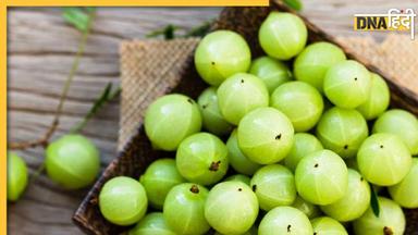 Amla Benefits In Winters: ठंड के मौसम में आंवला इन 5 बीमारियों को रखेगा दूर, यहां देखे आंवला खाने के बेहतरीन फायदे