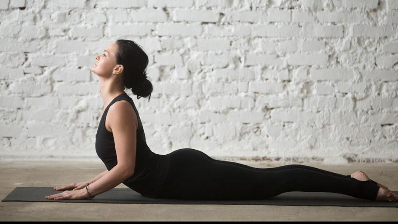 Bhujangasana