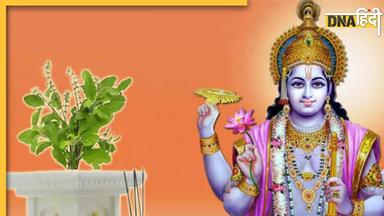 Tulsi Puja In Kharmas: इस दिन से शुरू हो रहा खरमास, जानें 30 दिनों तक चलने वाले इस मास में तुलसी पूजा करने के फायदे