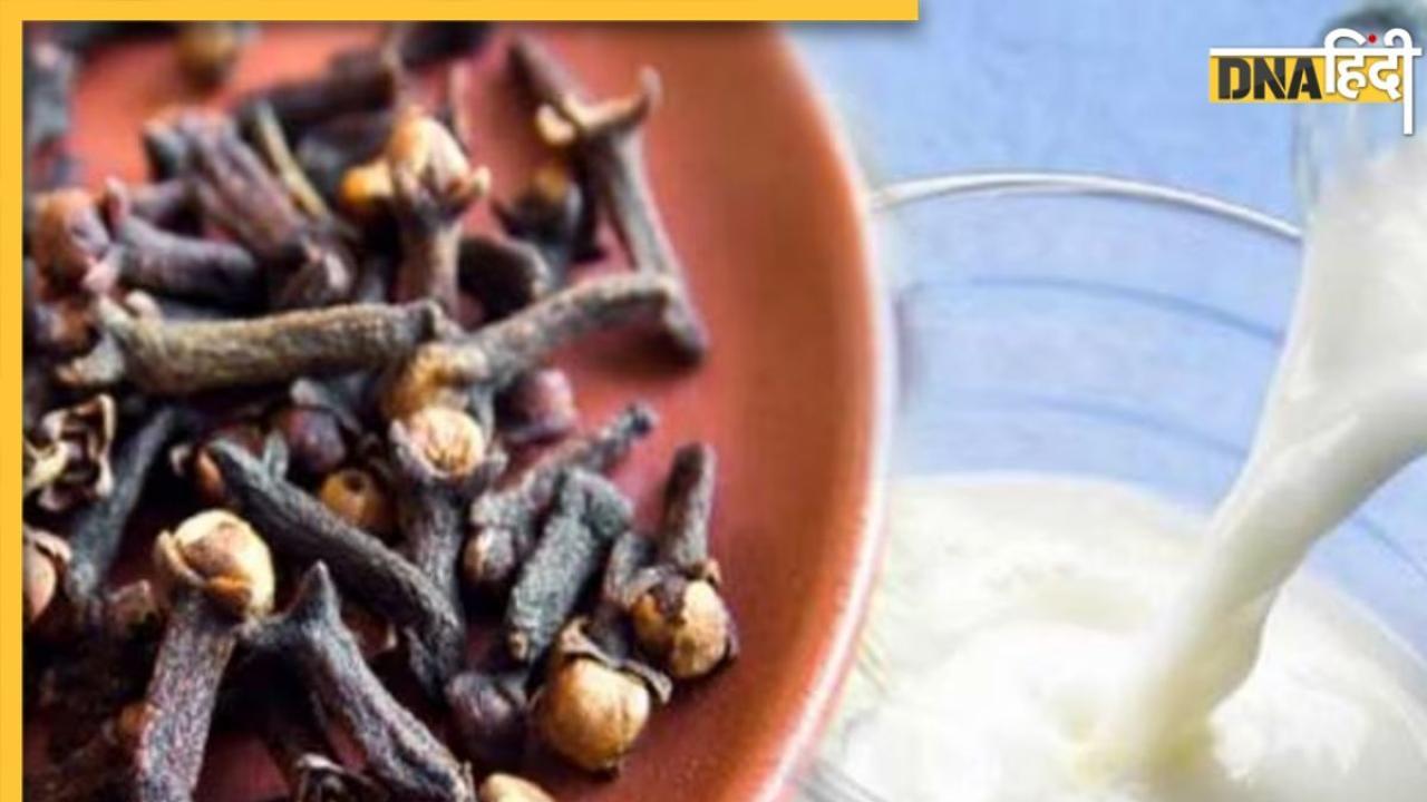 Clove Milk Benefits: सर्दियों में पिएं लौंग वाला दूध, कंट्रोल में रहेगा ब्लड प्रेशर, मिलेंगे और भी कई फायदे