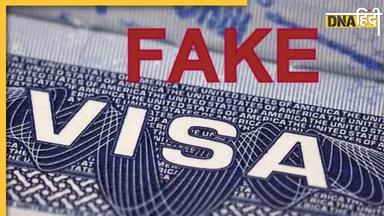 Fake Visa Scam: सावधान, नकली वीजा दे रहे एजेंट, 17 कंसल्टेंसी फर्म पर मारा गया छापा