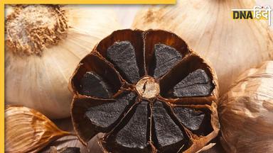 Black Garlic Benefits: सूजन से शुगर तक, इन बीमारियों में दवा का काम करता है काला लहसुन, दिल भी रहेगा सेहतमंद