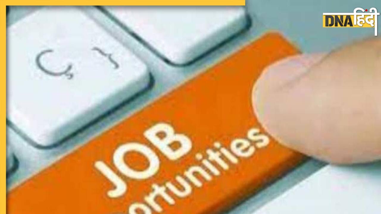 Jobs News: 2024 में होगी नौकरियों की बंपर बरसात, जॉब मार्केट से मिल रहे हैं अच्छे संकेत 