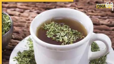 Moringa Tea: सुबह उठते ही पिएं इन पत्तों से बनी चाय, नेचुरली इंसुलिन कंट्रोल कर देगा शुगर, डायबिटीज का खतरा भी होगा खत्म