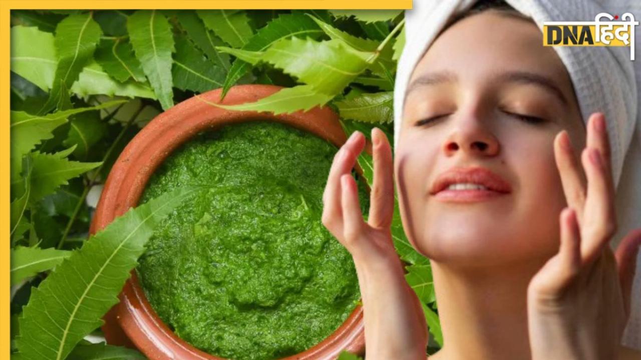 Skin Care Tips: चेहरे पर निखार के लिए नीम की पत्तियों से करें स्किन केयर, ऐसे बनाएं फेस पैक