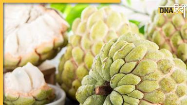 Custard Apple Health Benefits: दुबले पतले लोगों के लिए रामबाण है यह फल, हर दिन खाने पर मिलते हैं ये 6 फायदे