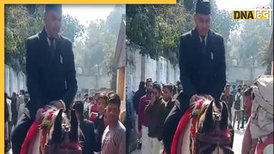 Viral Video: एलएलबी की परीक्षा देने के लिए सूट बूट में घोड़ी पर सवार हो आया यह शख्स, देखें वीडियो