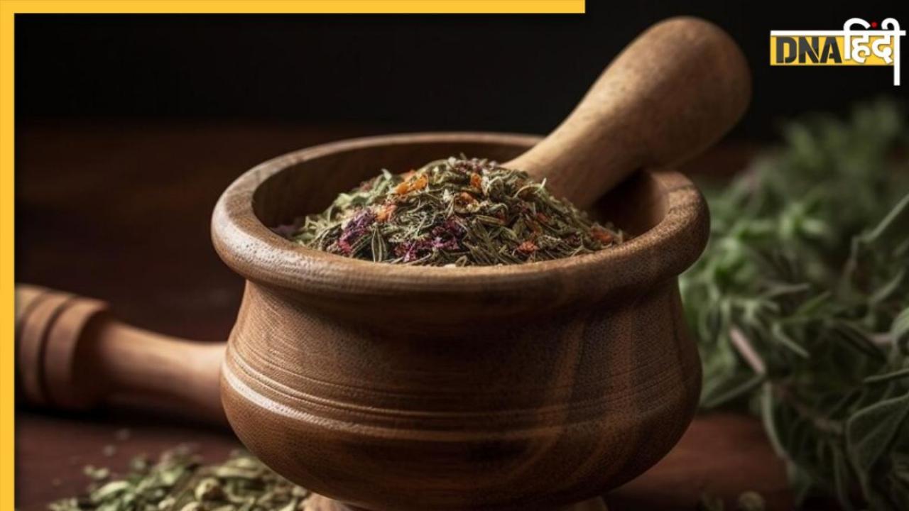 Ayurvedic Herbs: गंदगी साफ कर Liver को मजबूत बनाती हैं ये आयुर्वेदिक जड़ी-बूटियां, ऐसे करें इस्तेमाल