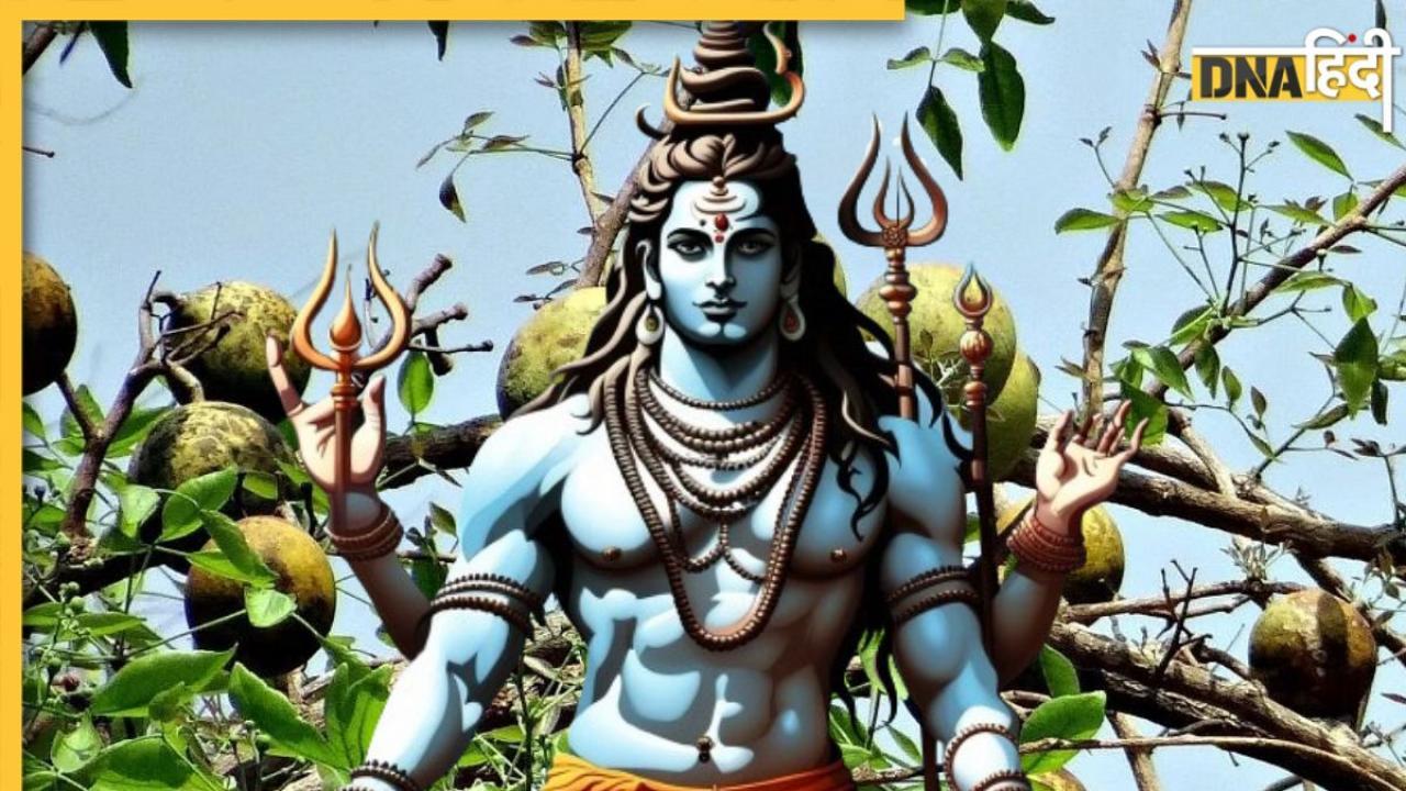 Mahashivratri 2024: शिव जी को चढ़ाने वाले बेल के हैं कई फायदे, बेलपत्र से लेकर बेल फल तक खाने से मिलेंगे ये 5 लाभ