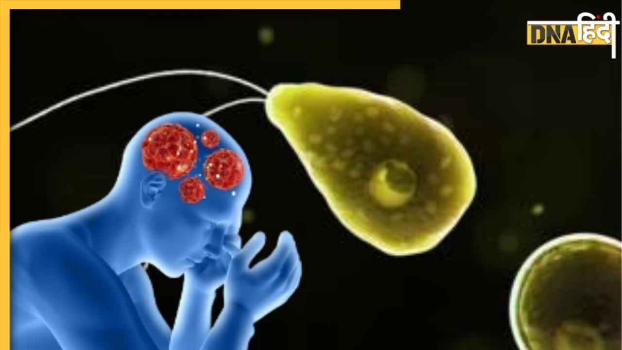 क्या है Brain Eating Amoeba? जिससे केरल में 2 महीने की भीतर हुई 3 बच्चों की मौत 