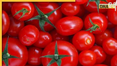 Tomato Price Hike: टमाटर की कीमतों ने फिर रुलाया, दिल्ली में 80 पार पहुंचे दाम