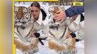  Viral video: Woman tries to pose with a tiger, what happens next will shock you 
