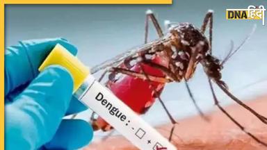 Karnataka Dengue Case: कर्नाटक में डेंगू का कहर, बेंगलुरु में ही 7 लोगों की मौत, स्वास्थ्य विभाग ने जारी किया अलर्ट