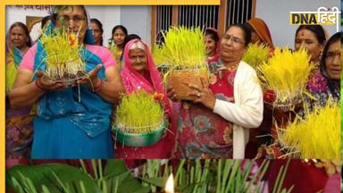 Harela: उत्तराखंड में आज हरेला बोने के साथ शुरू हुआ हरियाली का पर्व, जानें क्यों मनाते हैं ये त्योहार