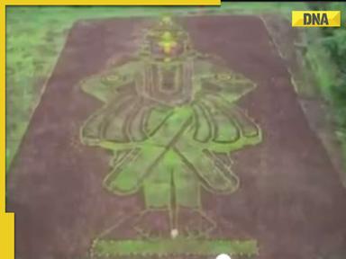 Viral video: Farmer crafts beautiful portrait of Lord Vithal with paddy plantations, internet is impressed