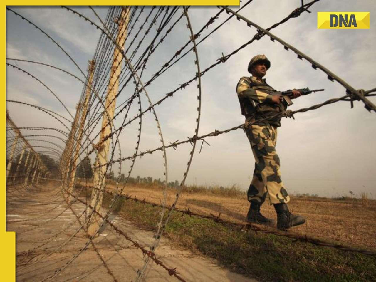 BSF officer, jawan die during patrol along India-Pakistan border in Gujarat, what exactly happened?