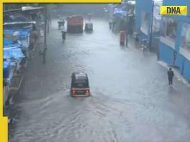 Maharashtra Rains: Holiday declared for schools and colleges, IMD issues heavy rainfall alert till...