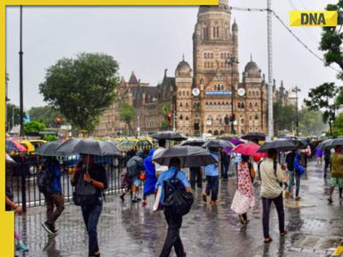 Mumbai rains: Schools, colleges to operate normally today, BMC urges citizens to...