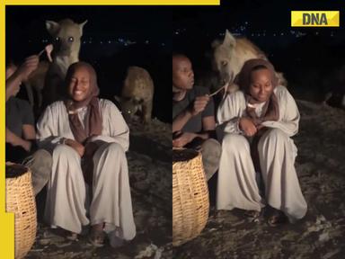 Viral video: Man and woman risk their lives feeding hungry pack of hyenas, watch