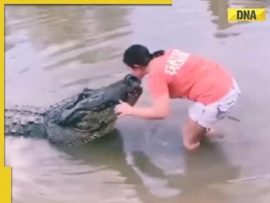 Viral video: Woman plants kiss on giant crocodile's head, leaves internet In disbelief