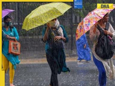 Maharashtra weather update: IMD forecasts heavy rain warning for today, issues 'red alert' for these districts