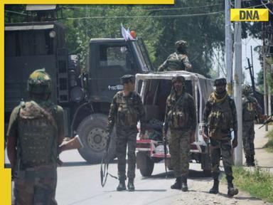 Article 370 abrogation 5th anniversary: J-K on high alert, Amarnath Yatra suspended for a day