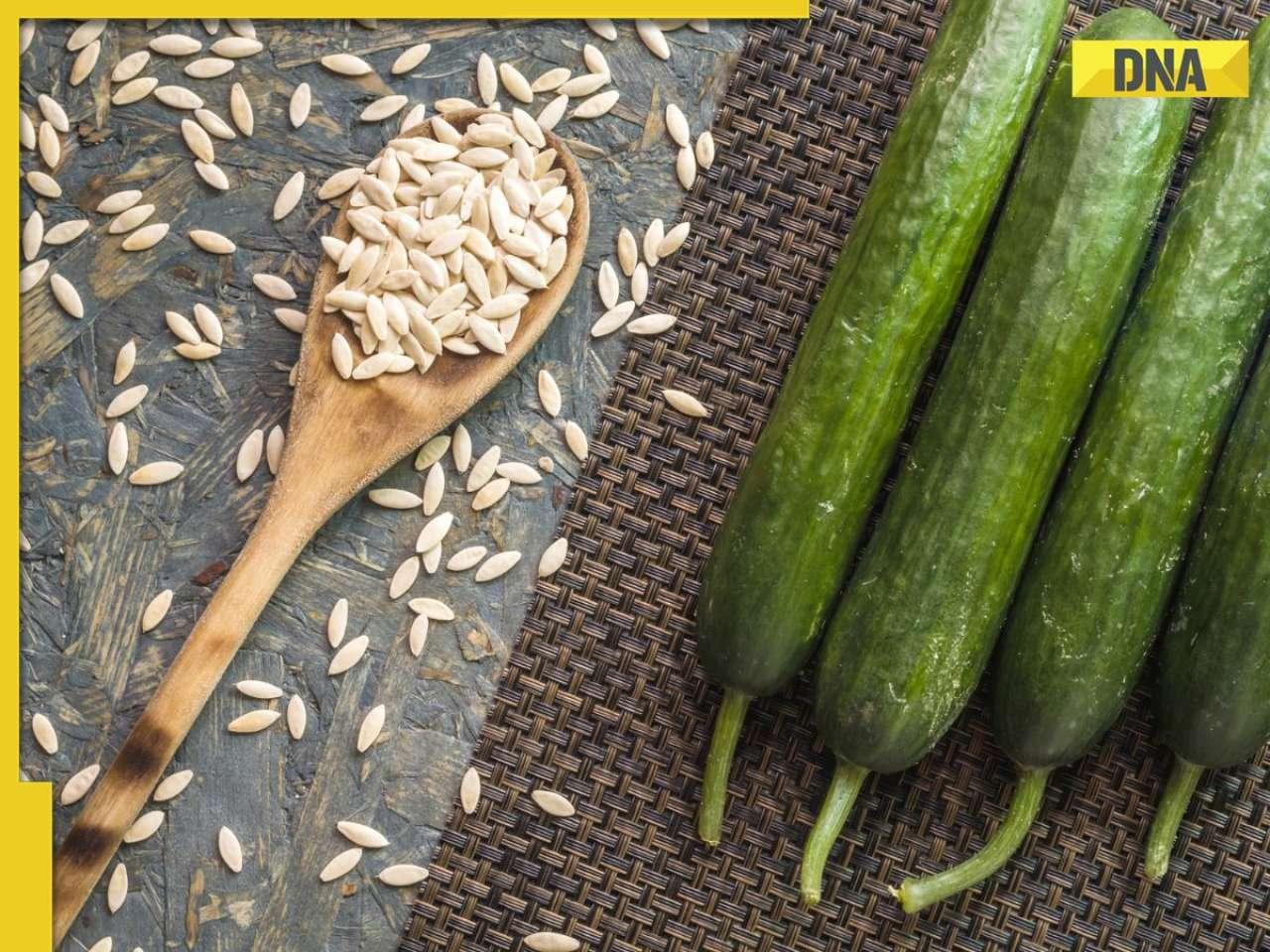 8 health benefits of consuming cucumber seeds