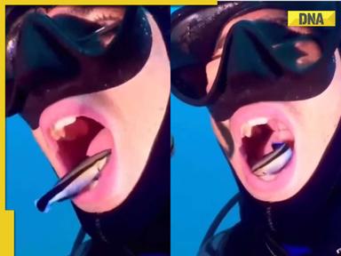 Would you let a fish clean your teeth? This diver did, and it’s going viral, watch