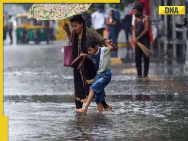 Weather update: IMD issues orange, yellow alerts for several districts in this state; check details 