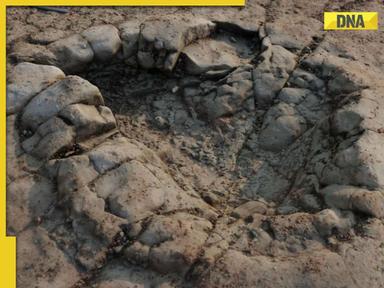 Shocking: 10-year-old finds dinosaur footprints while walking on beach