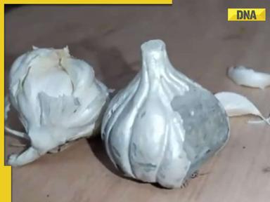 Viral Video: Fake garlic being made of this thing will leave you shocked; watch