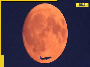 Supermoon 2024: Photos of blue supermoon light up August sky around the world