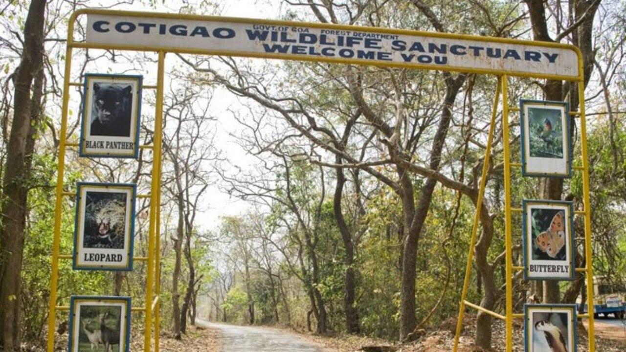 Cotigao Wildlife Sanctuary