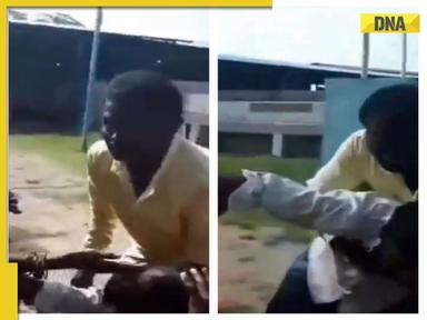 Viral Video: Dispute over mutton turns violent as families of bride and groom attack each other with..., WATCH 