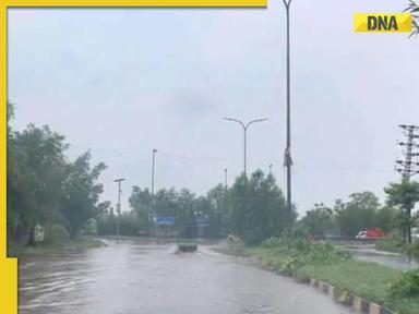 Viral video: Amid heavy floods in Gujarat's Vadodara residents performs Garba, watch