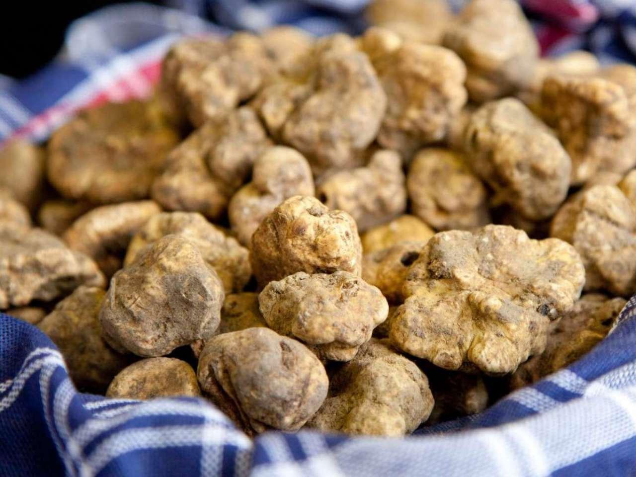 White Truffles