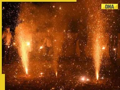 No firecrackers this Diwali: Delhi bans production and sale till...