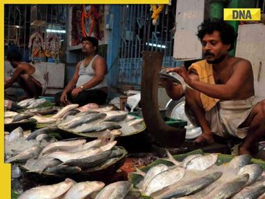 Bangladesh bans Padma Hilsa export to India ahead of Durga Puja, prices expected to...